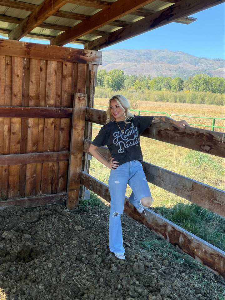 Person wearing a tee that states 'Howdy Darlin' standing inside a wooden stable with a scenic background